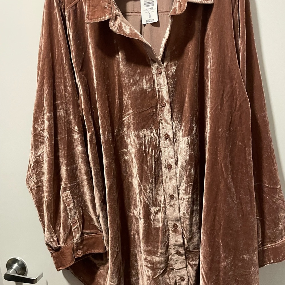 Torrid Velvet Blouse in Rich Brown